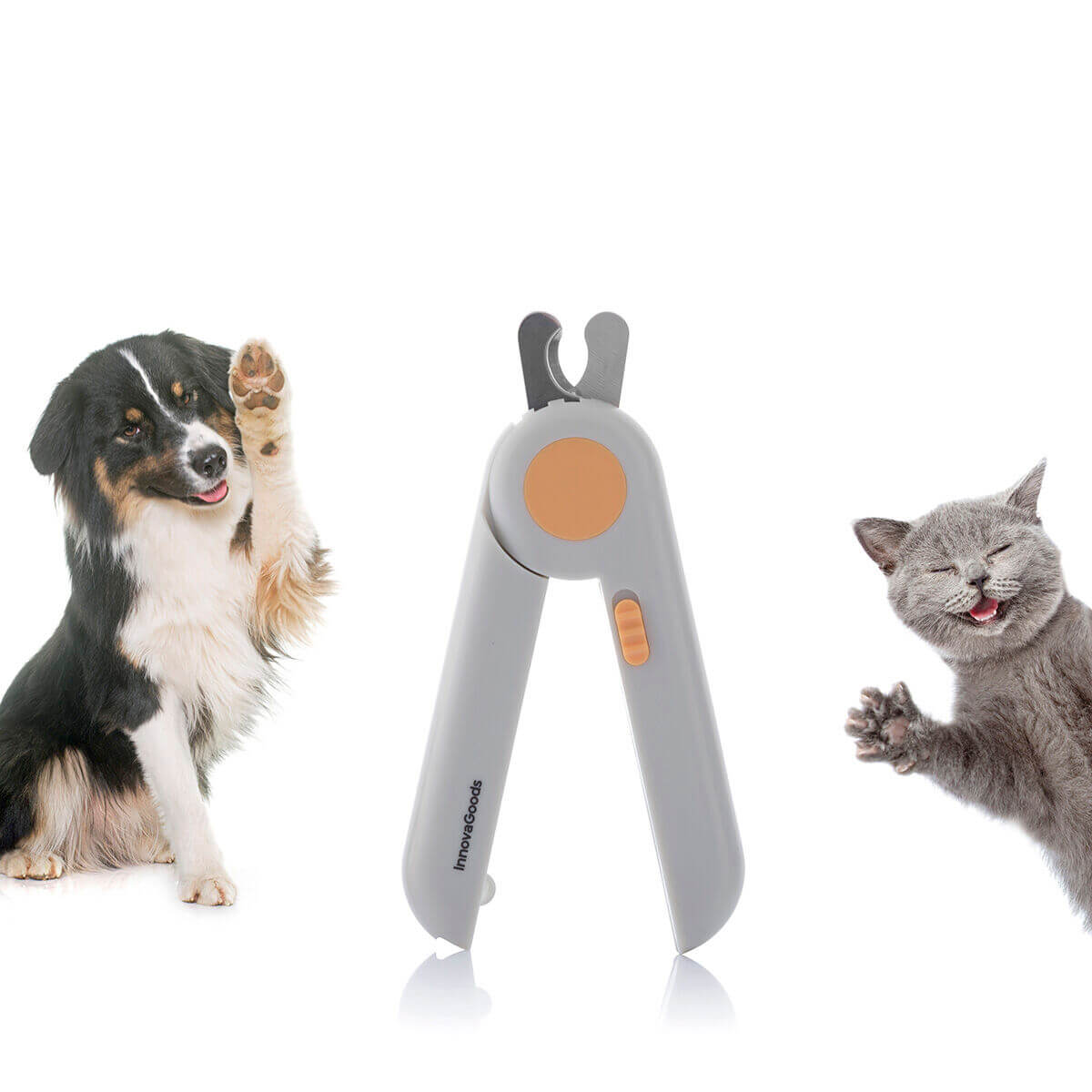 Pet products - blibon.com