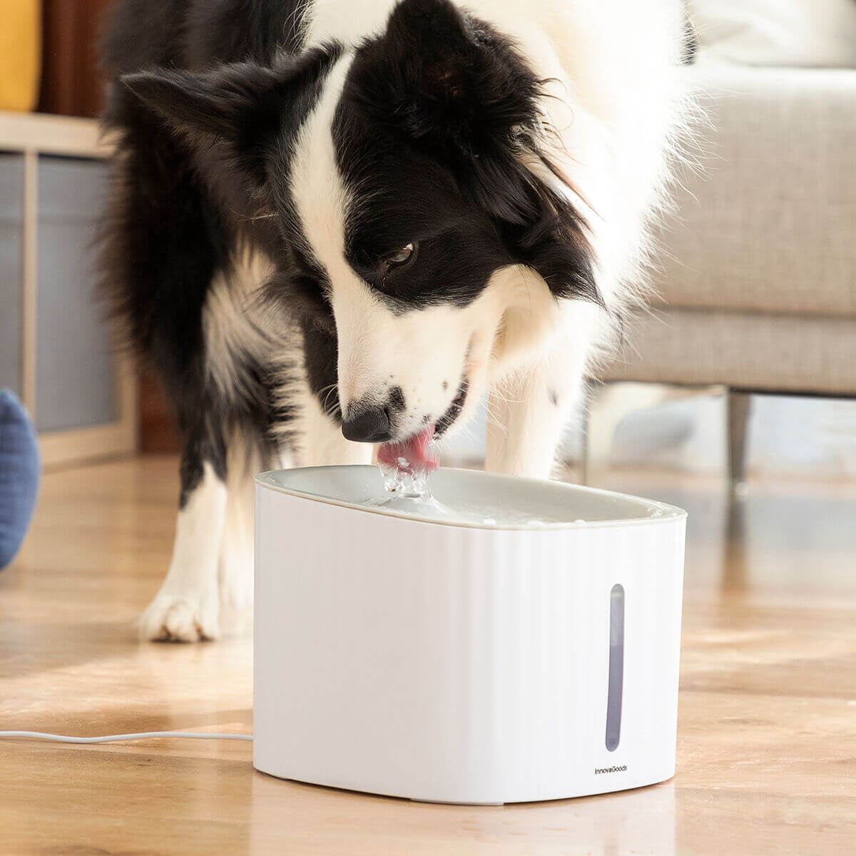 Pet Water Fountain Drinkatt