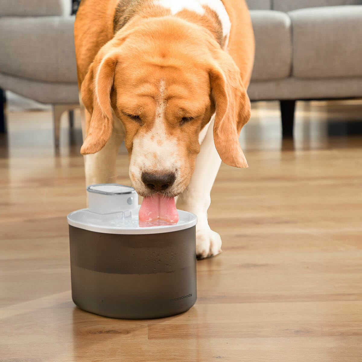 Rechargeable Cat and Dog Water Fountain with Sensor Refopet InnovaGoods